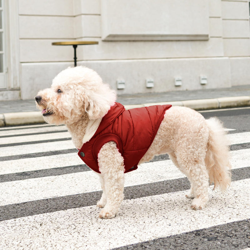 Fleece Lining Extra Warm Dog Hoodie in Winter for Small Dogs Jacket Puppy Coats with Hooded,Red M Medium (Pack of 1) Red - PawsPlanet Australia
