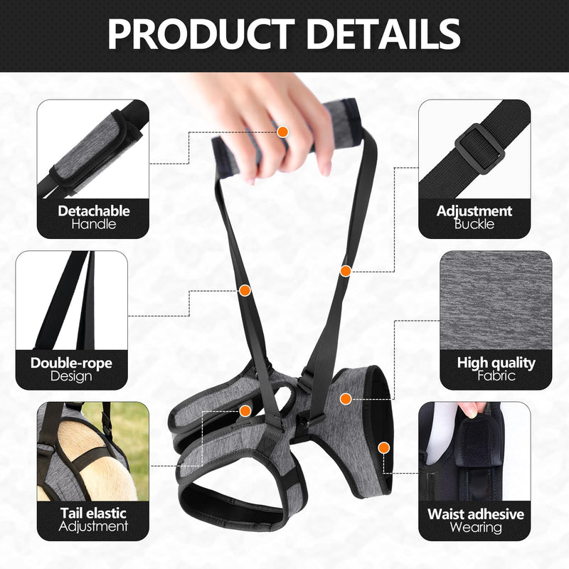 Dog Lifting Harness, Dog Support Harness Slings for Back Legs，Adjustable Dogs Support Strap for Injured Disabled Elderly Dogs (XL) XL