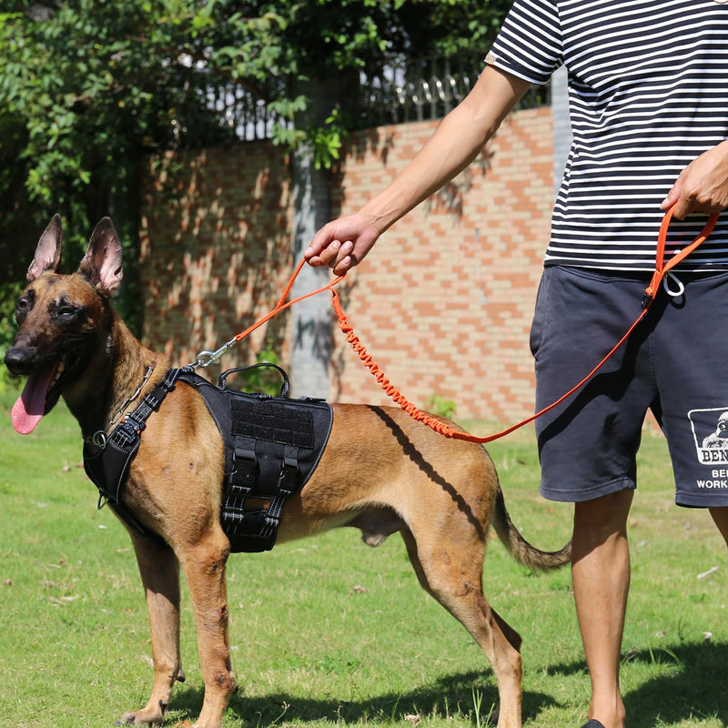 ICEFANG Tactical Dog Leash,K9 Training Walking Bungee Lead with Double Handle,Heavy duty metal Clasp,Hands free D-ring for Medium Large Breed (6 ft (Pack of 1), Reflective Orange) 6 ft (Pack of 1) - PawsPlanet Australia
