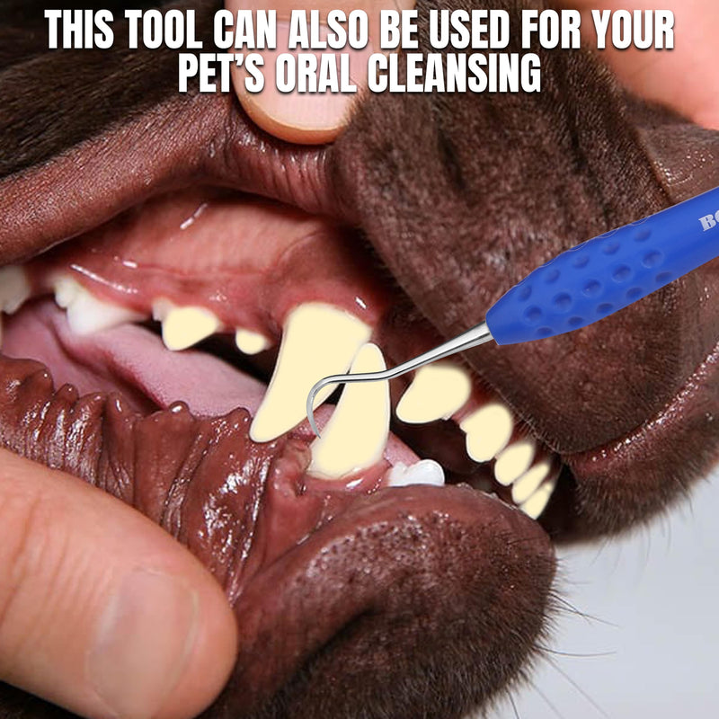 Professional Dental Tools Tartar Scraper For Dentist, Personal and Pets Use Plaque Remover With Comfortable Grip, Double ended Silicon Grip Scaler - PawsPlanet Australia