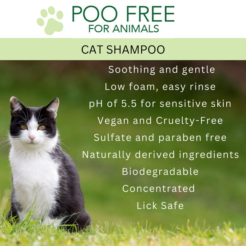 Catnip & Aloe Soothing Cat Shampoo – Gentle Purity & Playful Comfort – 99% Natural & pH Balanced – 250ml