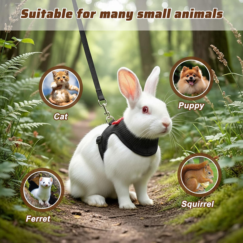Bunny Harness and Leash Set, Soft Breathable Rabbit Leash Vest with Cute Bow Mesh Adjustable Vest Bunny Leash for Walking Gear Escape Proof for Kittens, Ferrets, Guinea Pigs(Black M) Black M - PawsPlanet Australia