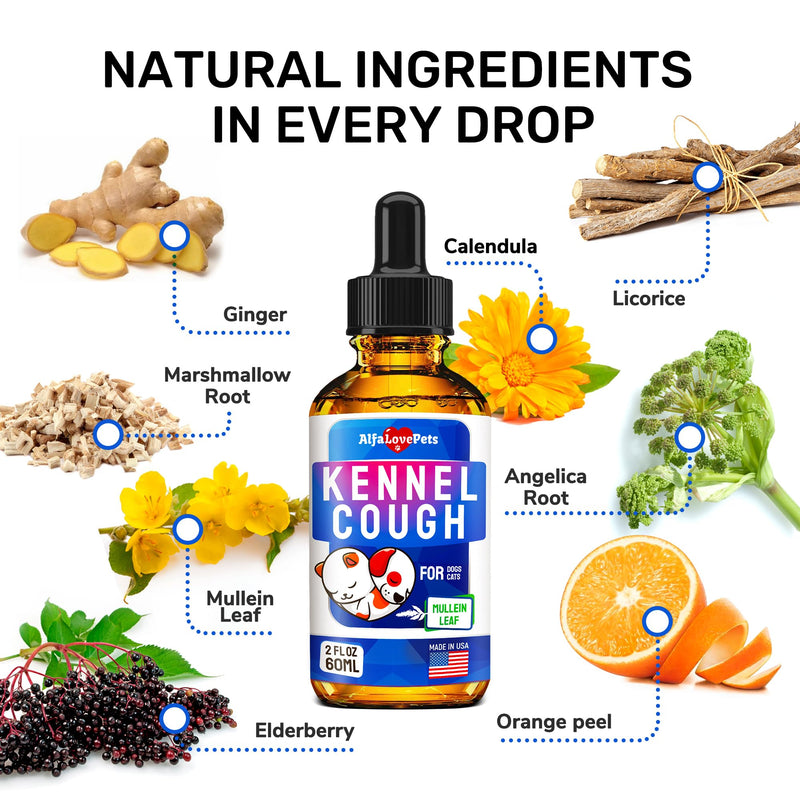 Cat Cough & Dog Cough Treatment ✿ Kennel Cough Treatment for Dogs ✿ Kennel Cough Treatment ✿ Kennel Cough Treatment for Dogs & Cats ✿ 2 Oz 2 Fl Oz - PawsPlanet Australia