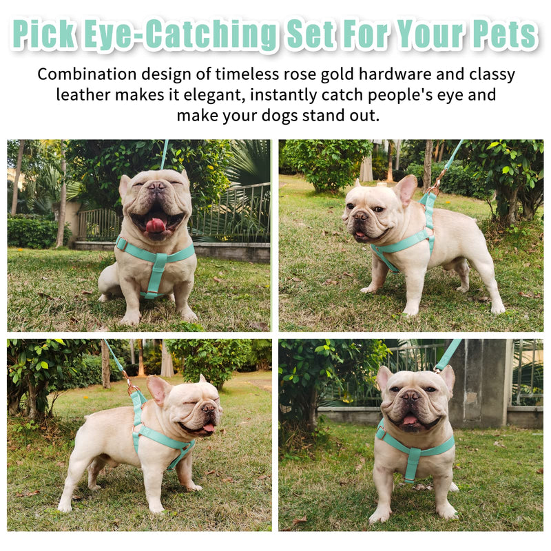 Soft Leather No Pull Dog Harness - Adjustable Step in Dog Harness with Rose Gold Heavy Duty Metal Buckle, Freedom Nylon Dog Halter Vests for Small Medium Large Dogs Easy Walking Training (Green,S) Mint Green S (Neck&Chest Girth 14"-21" x Width 0.8") - PawsPlanet Australia