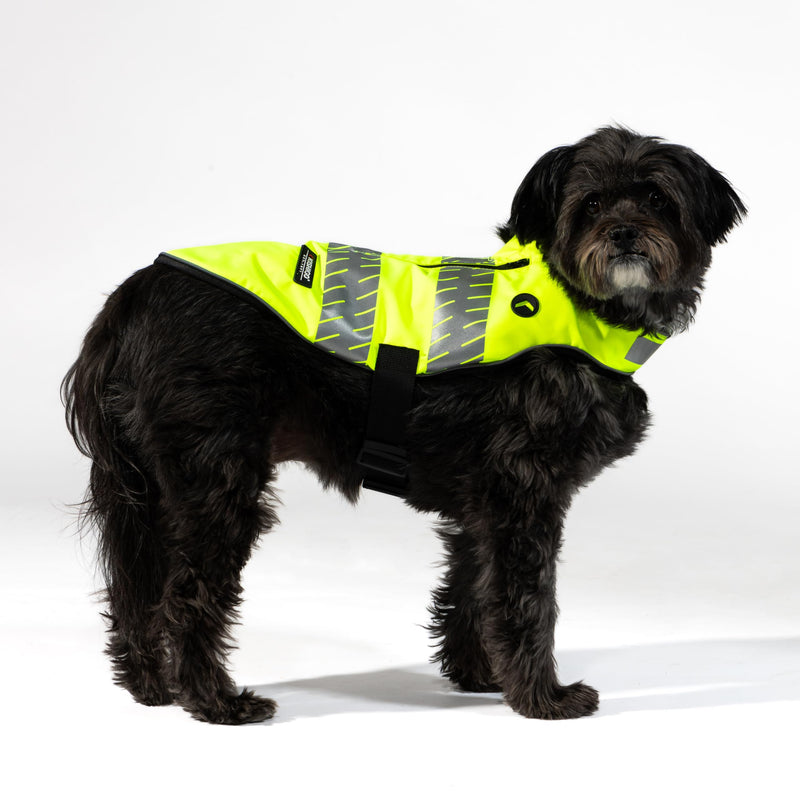 Reflective Dog Safety Vest, Harness and Collar Compatible, Waste Bag Holder, Water Resistant, Adjustable Neck and Chest, Day or Night Walking, High-Visibility Protection (Lime, S) Small - PawsPlanet Australia