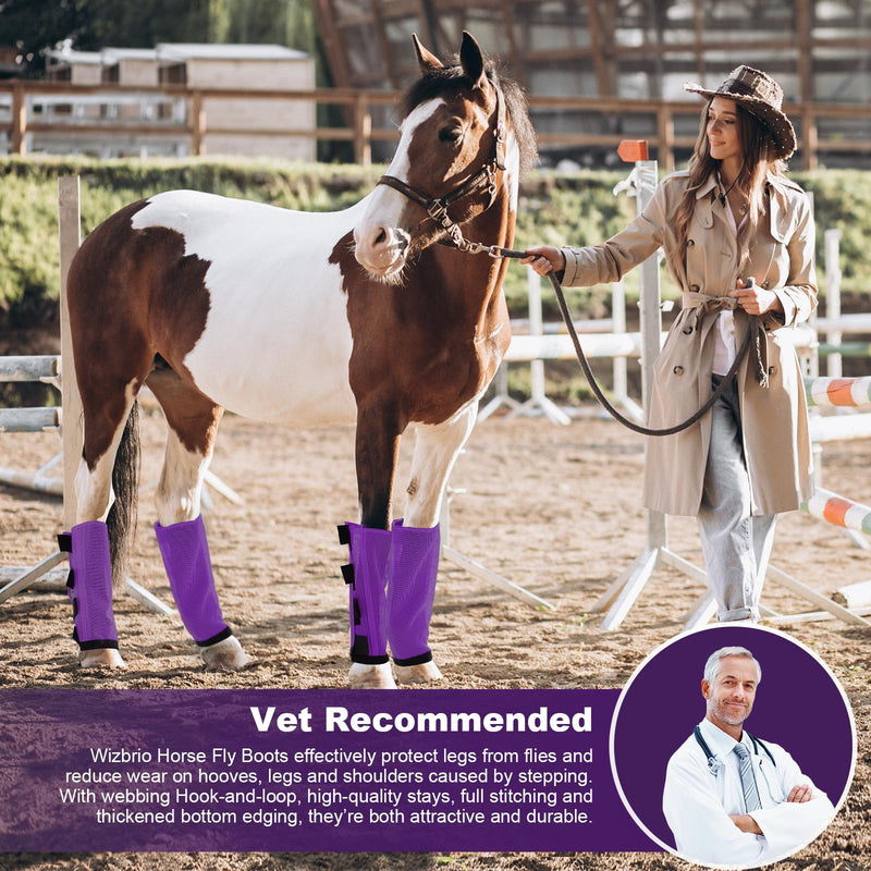 Premium 4-Pack Horse Fly Boots & Leggings Loose-Fit Fine Mesh with Stay-On Fasteners, Support Strips & Anti-Stomp Design Breathable Non-Slip Protection Leg Wrap (Large) Lavender Purple L - PawsPlanet Australia