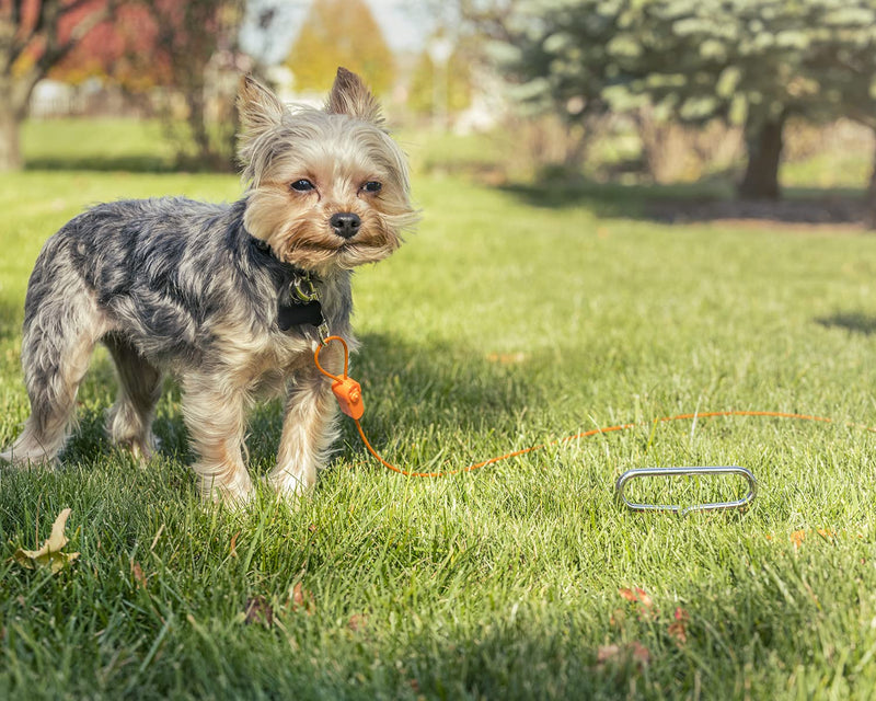 40FT Tie-Out Cables for Dogs - Strong, Safe, and Durable Dog Tie-Outs for Small Dogs up to 10 Pounds - Weather and Wear Resistant Galvanized Aircraft Cable for Outside Use 10 lb / 40 ft