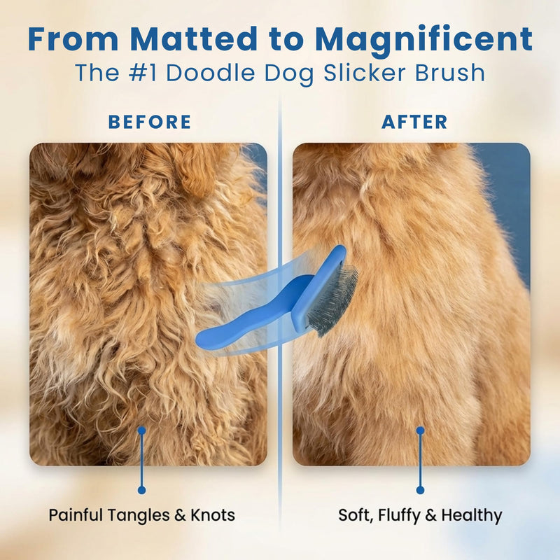 Slicker Brush for Dogs, Dog Grooming Supplies - Best Doodle & Poodle Brush for Haired Dogs - Goldendoodle Pin Detangler for Dematting (Large Curved) Large