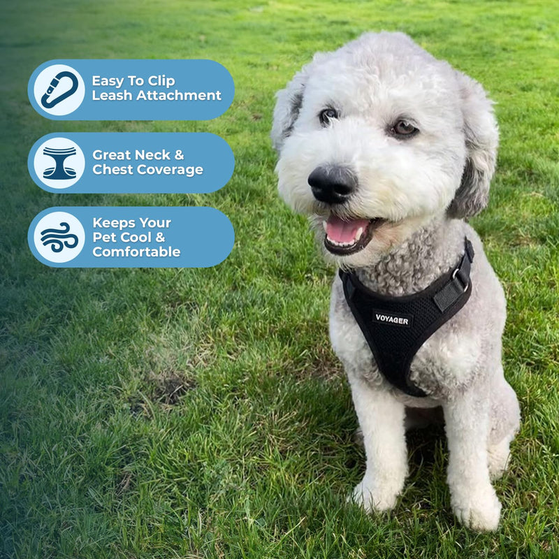 Voyager Step-in Lock Pet Harness - All Weather Mesh, Adjustable Step in Harness for Cats and Dogs by Best Pet Supplies - Black, XS (Pack of 2) - PawsPlanet Australia