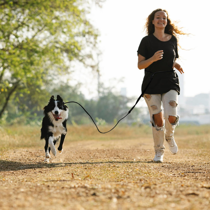 Hands Free Dog Leash Crossbody Dog Leash 8 Feet 9-in-1 Multifunctional Waist Leash for Dog Walking Adjustable Waterproof Dog Leash for Running Walking Jogging (Large, 20-120 lbs, Matte Black) Large - 8 Feet - 9mm Diameter - 20-120lbs - PawsPlanet Australia