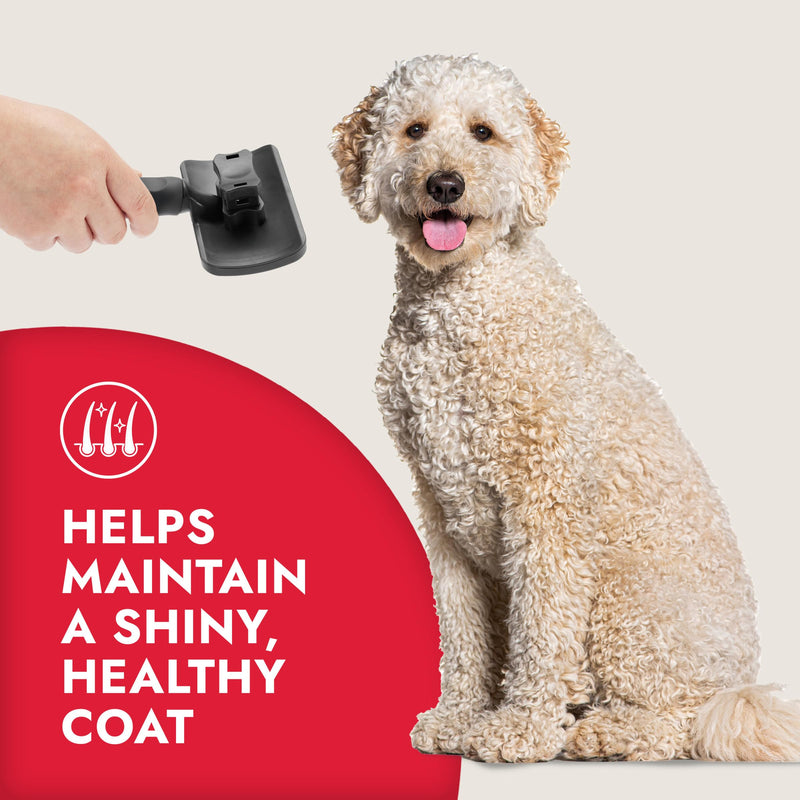 KONG Large Self-Cleaning Slicker Brush – Easy Hair Removal, Reduces Shedding, Non-Slip Grip, Long Metal Pins, for Medium to Large Dogs with Medium to Long Coats, Red/Gray - PawsPlanet Australia