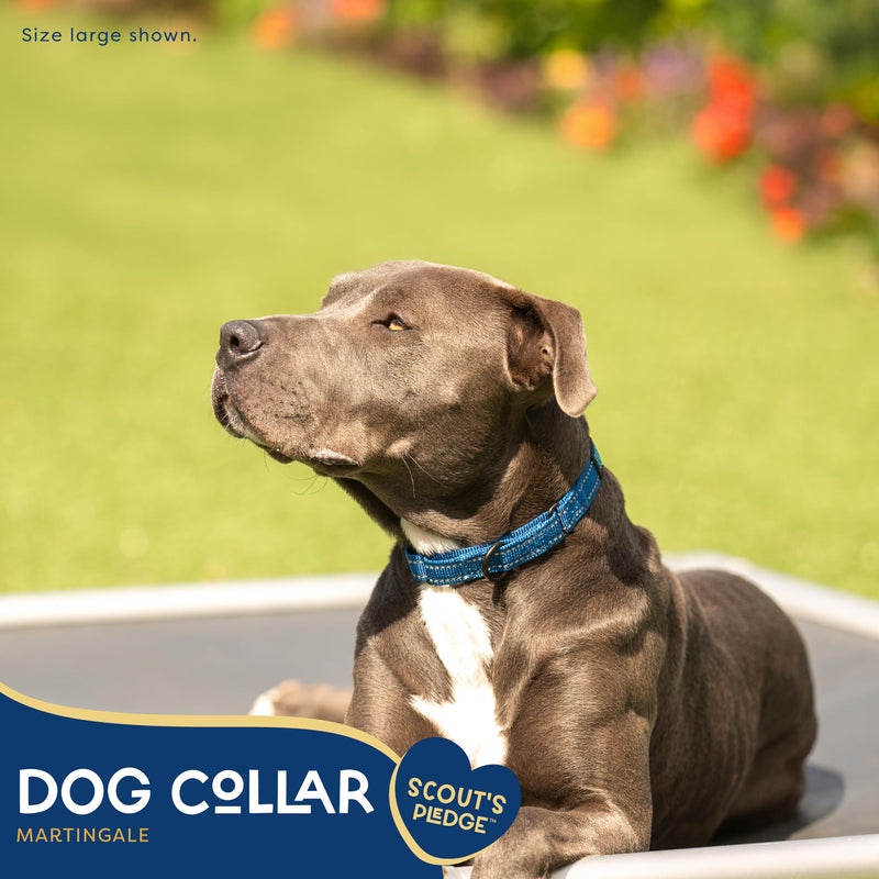Good Scout Martingale Heavy Duty Dog Collar for Large Dogs, Durable Slip-on Collar, Puppy Training Collar, Reflective Material for Safety & D-Ring for Quick Leash Attachment, Blue