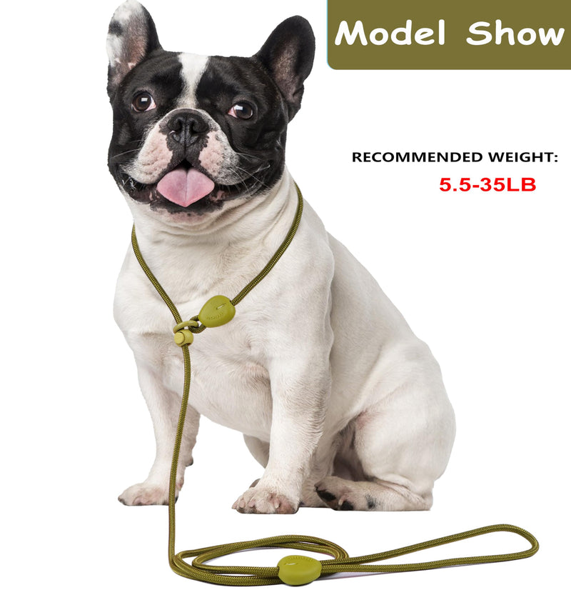 Green 6FT Heavy Duty Dog Training Leash - Comfortable Rope, No Pull, Suitable for Small to Medium Dogs Green - PawsPlanet Australia