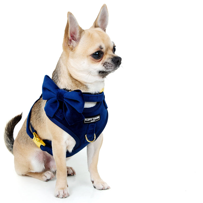 Royal Blue Velvet Dog Adjustable Collar Bowtie – Luxury Velvet Collar with Detachable Bow Tie and Gold Safety Buckle for Dog or Puppy (Extra Small) Extra Small