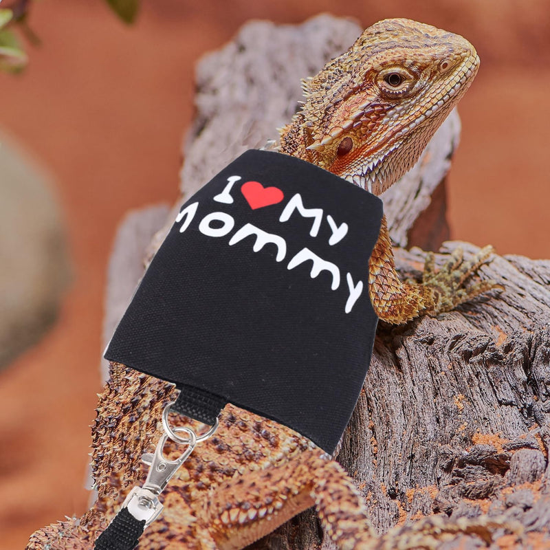 Small Animal Travel Backpack Carrier,Portable Bearded Dragon Bag for Sugar Glider,Hedgehog,Rat,Bunny,Rat,Outdoor Used (Black, Carrier L+ I Leash) Black - PawsPlanet Australia