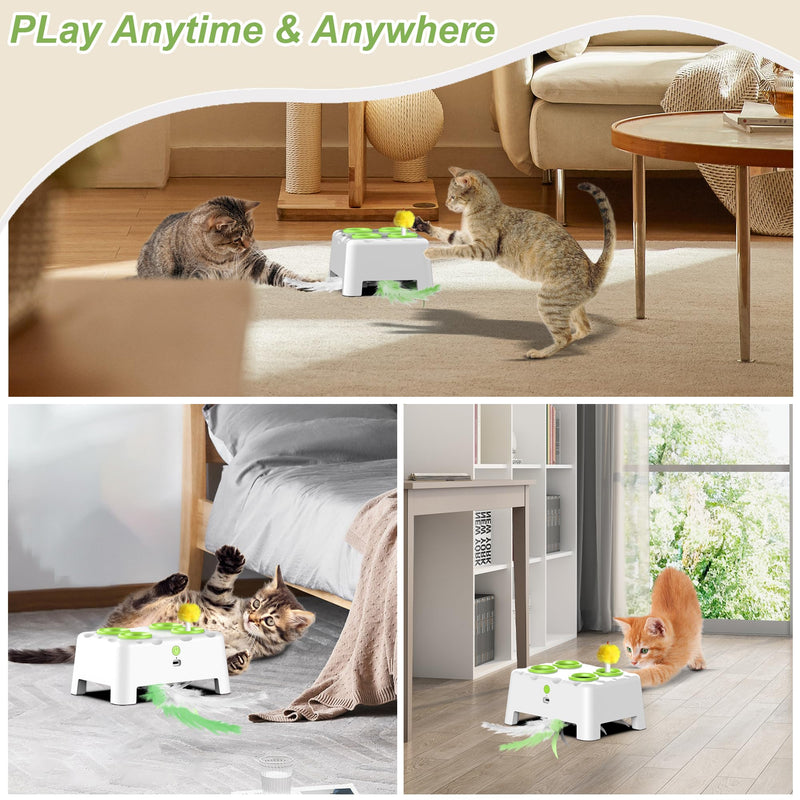 Interactive Cat Toys, 2-in-1 Automatic Cat Toy, 4 Holes Mice Whack A Mole Cat Mouse Toy with Moving Feather, Portable USB Rechargeable Electronic Kitten Toys White - PawsPlanet Australia