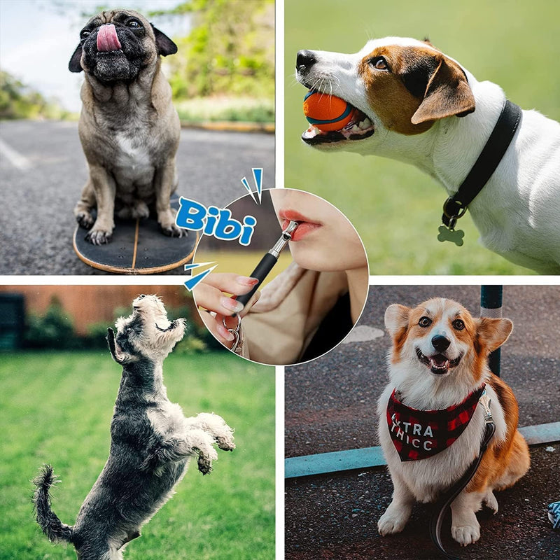 Dog Whistle, Adjustable Ultrasonic Silent Dog Recall Whistles, Training Whisle to Stop Barking Neighbors Dog - PawsPlanet Australia