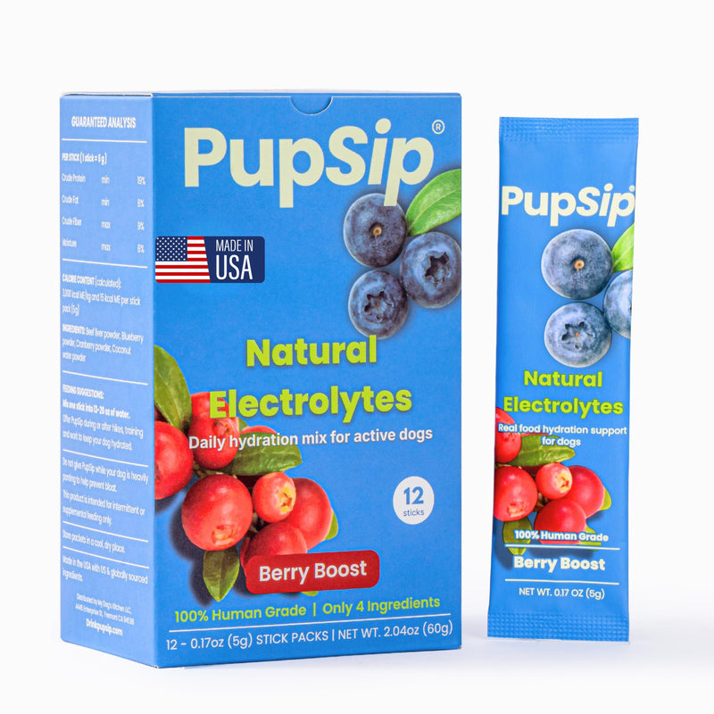Dog Electrolytes – Hydration Support for Heat, Travel & Exercise – Helps Prevent Dehydration & Encourage Drinking – Water Flavor Enhancer with Electrolytes for Dogs, 12 Sticks