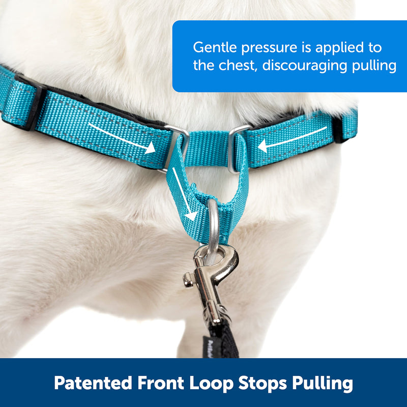 PetSafe Easy Walk Deluxe Harness, No-Pull Walking Harness for Dogs, Padded Design, Includes 1.8m Lead, Medium/Large-Ocean Blue/Black Lead - PawsPlanet Australia