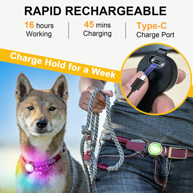 Tubasion Dog Lights for Night Walking, Tubasion Upgraded 8 Modes Rechargeable Dog Collar Light for Nighttime Clip On, IP66 Waterproof and Durable Silicon Band Safety Lights for Pet Collar(2-Pack) 2-Pack - PawsPlanet Australia