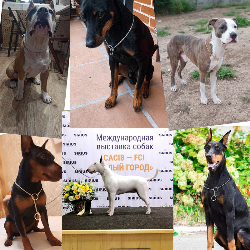 Heavy Duty Dog Choke Collar Slip Dog P Chain Snake Collar Plating Anti-Rust Dog Training Collars for Small Large Dogs Black/Gold/Silver/Rose Gold 15.5in-29.5in (23.5in, Silver) 23.5in - PawsPlanet Australia