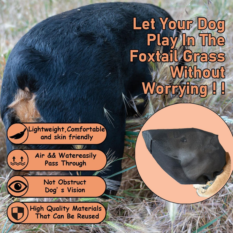 M Size Foxtail Mask for Dogs, Dog Foxtail Protection, Dog Ear Protection - PawsPlanet Australia