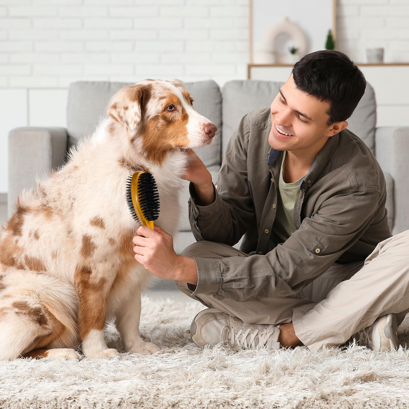 TAKAVU Dog Cat Detangling Brush, Two-Sided Pin & Boar Bristle Grooming Brush for Removing Loose Hair Dirt and Promoting Healthy Coat, De-shedding Pet Supplies Comb, Detangler Brush for Dogs, Cats Black Boar Bristle & Pin Brush - PawsPlanet Australia