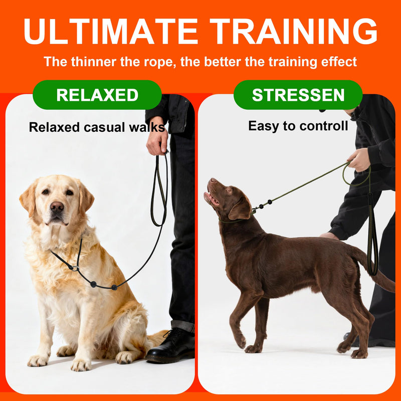 ?BeauGo|Dog Leash Slip Lead|Dog Training Leash,Trainer Rope Designed for DogTraining and NGKC Competition,No Pull Dog Lead & Collar,Trainer Rope for Small Medium Large Dogs.Slip Leads for Dogs 6 FT PINK Training(6FT*1.8M? - PawsPlanet Australia