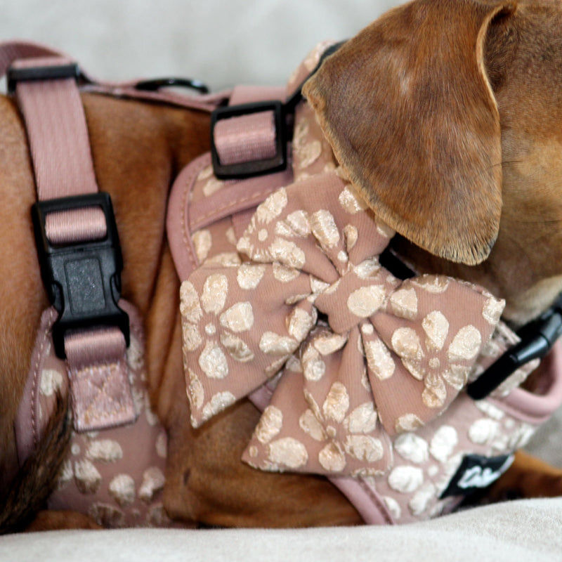 Cute Large Dog Harness Set – No Pull, All Weather, Breathable Harness and Leash Set with Collar, Bandana, Sailor Bow & Poop Bag Holder – Adjustable, Soft & Stylish – Cocoa Bloom on Jacquard Fabric - PawsPlanet Australia