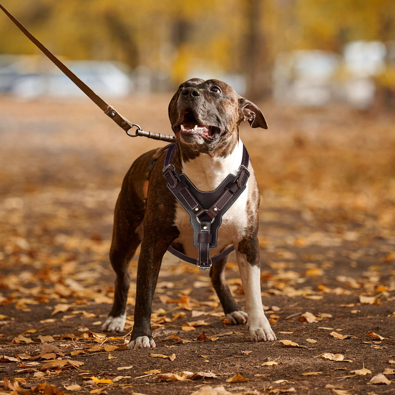 Guiding Star Leather Dog Harness Heavy Duty Dog Harness for Large Dogs Soft Dog Vest with Adjustable Straps for Large Extra Large Dogs Vest 24"-30" Dark Brown Chest:24-30" - PawsPlanet Australia