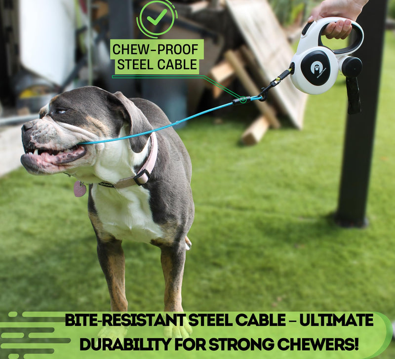 Snuggle Paws 16ft Retractable Dog Leash – All-in-One with LED Flashlight, Poop Bag Holder, Heavy Duty Chew-Proof Steel Cable & Reflective Tape – Compact, No-Tangle Leash for Small Dogs up to 44 lbs S | 16.4 ft | 44 lbs - PawsPlanet Australia