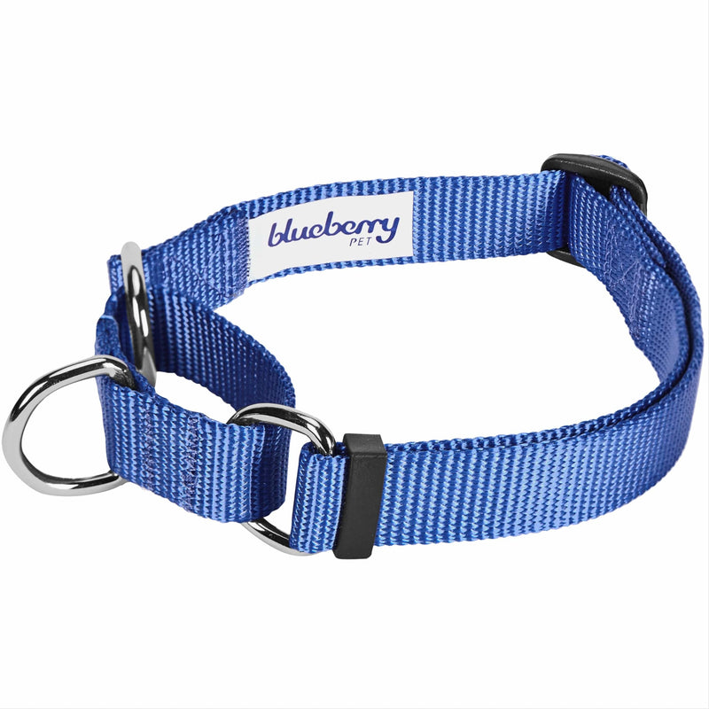 Blueberry Pet Essentials Matching Martingale Dog Collar and Leash Set in Marina Blue, Heavy Duty Nylon Adjustable Collars with 4 ft Leash for Large Dogs Marina Blue - Martingale Collar + Leash - PawsPlanet Australia