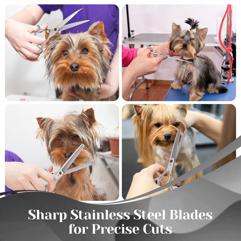 Dog Grooming Scissors Set – 6 in 1 Silver Pet Grooming Kit with Curved, Thinning, Chunker & Straight Shears + Comb – 440C Stainless Steel, Sharp & Durable for Dogs & Cats - PawsPlanet Australia