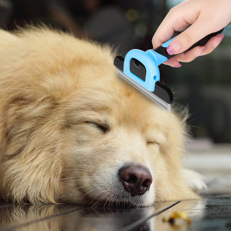 Flexzion Deshedding Brush for Cats & Dogs - Pet Grooming Trimming Comb Tool, Stainless Steel Safety Blade Deshedding Dog Brush Short Hair for Small, Medium, & Large Breeds, Blue - PawsPlanet Australia
