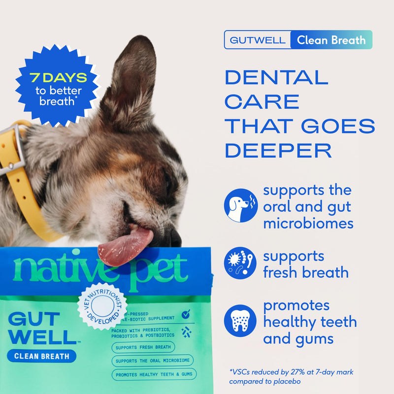 Native Pet GutWell Clean Breath - Dog Breath Freshener & Dog Dental Powder - Teeth Cleaning to Reduce Plaque & Tartar - Promotes Fresh Breath with Targeted Triple-biotic Dental Care Blend - 60 Scoops - PawsPlanet Australia