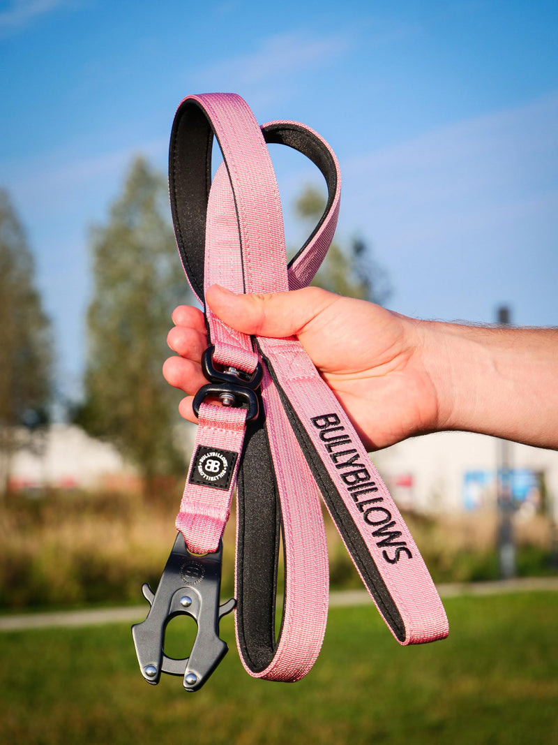 BullyBillows Anti-Tangle Swivel Combat Dog Lead | Padded Handle For Easier Walks | Anti Tangle & Pressure Tested Dog Lead | Suitable For All Dog Breeds - Black - PawsPlanet Australia