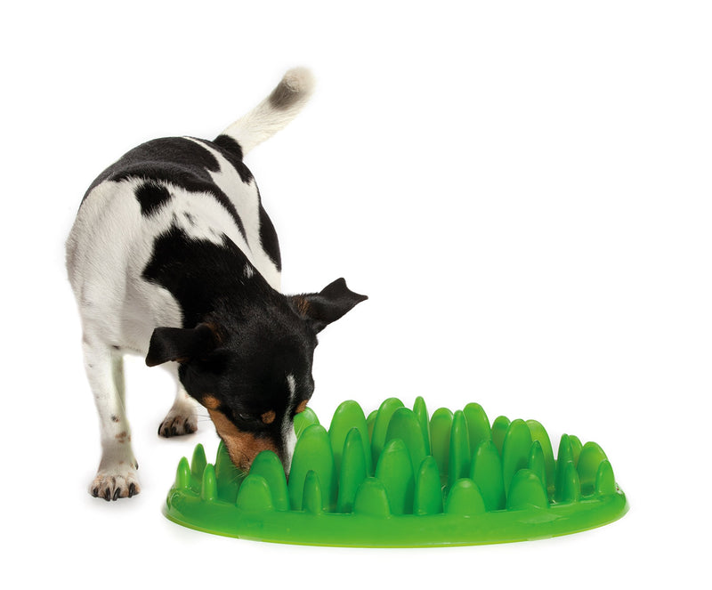 Green Interactive Feeder Mini - PawsPlanet Australia
