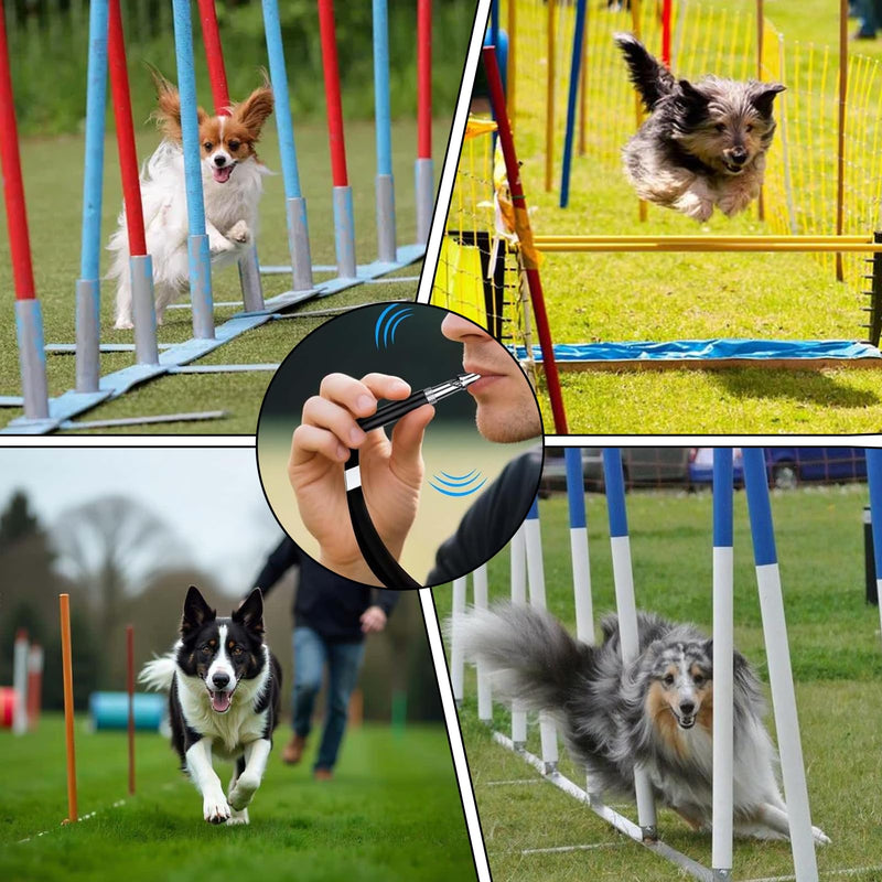 2 Pcs Dog Whistles,Dog Whistle to Stop Barking,Adjustable Ultrasonic Silent Dog Whistle to Make Dogs Come to You,Dog Whistle Training for Stop Barking Training Control Tools, Lanyard - PawsPlanet Australia