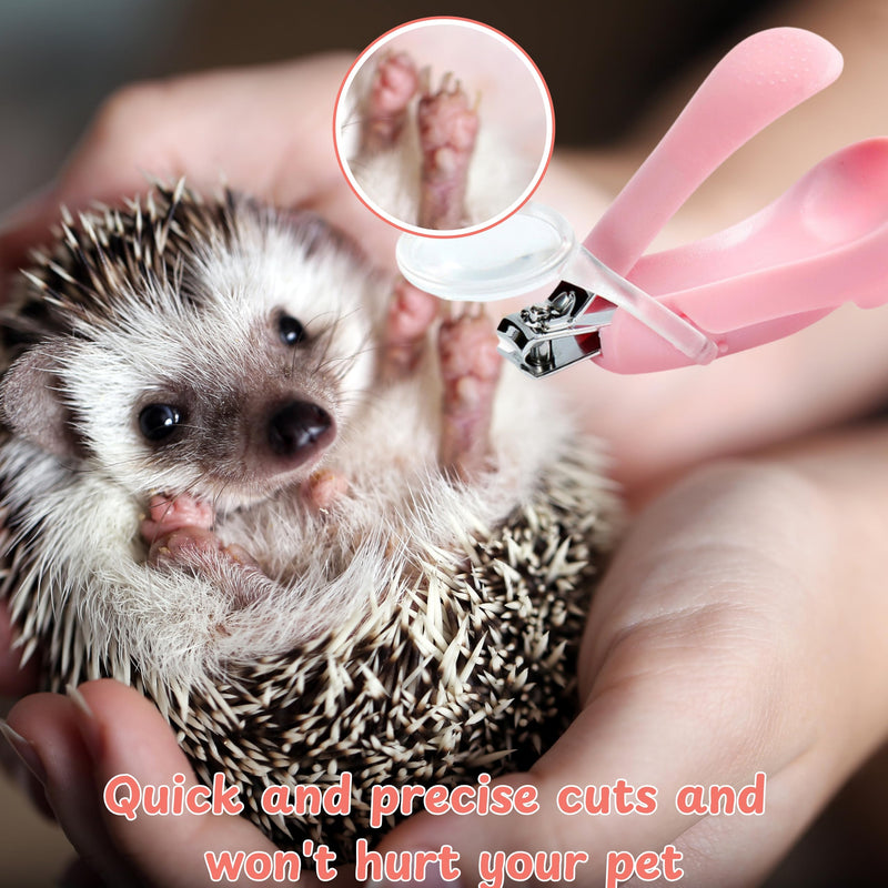 Hedgehog Toe Nail Clippers and Comb Set, 2 Pcs Hedgehog Soft Cleansing Brush and Toenail Clipper with Magnifier, Hedgehogs Massage Combs and Small Nail Clippers, Small Pet Grooming Supplies (Pink) Pink - PawsPlanet Australia