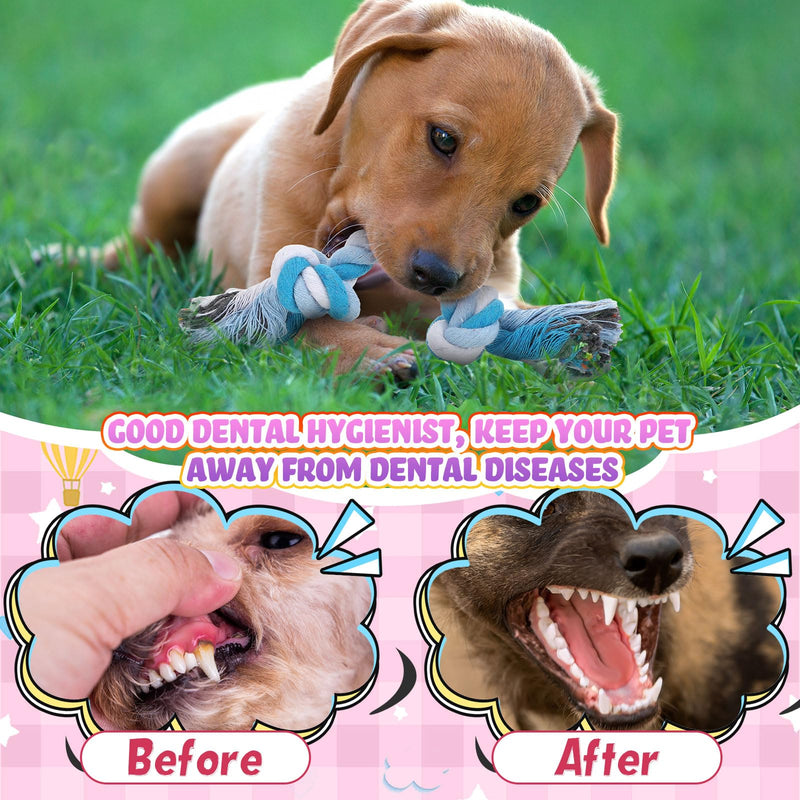Paterr 12 Pcs Rope Dog Toys Multi Color Puppy Rope Toy Cotton Puppy Toys Dog Chew Rope Puppy Teething Toys for Small and Medium Dogs Puppies - PawsPlanet Australia