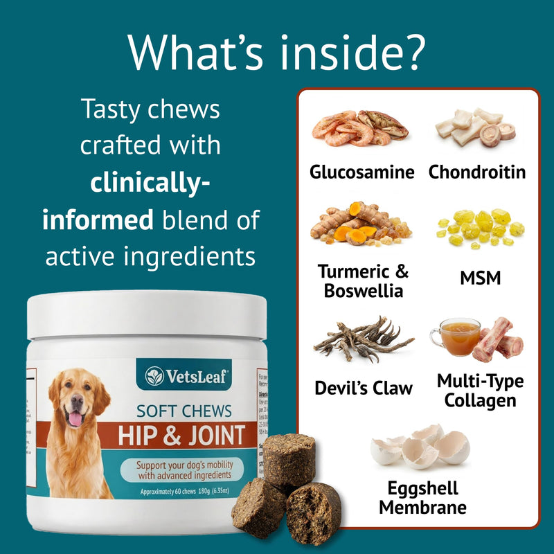 Hip & Joint Dog Chews – Glucosamine, Chondroitin, MSM, Turmeric & Collagen for Joint Health & Mobility – High-Potency Supplement for Dogs of All Breeds & Sizes – Active Lifestyle Support Hip & Joint - PawsPlanet Australia