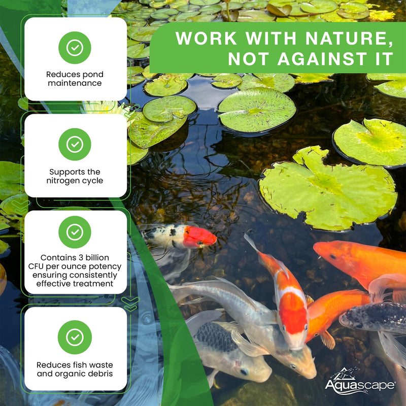 Aquascape Beneficial Bacteria Concentrate for Pond and Water Features, 1.1-Pound, 98949 1.1 lb - PawsPlanet Australia