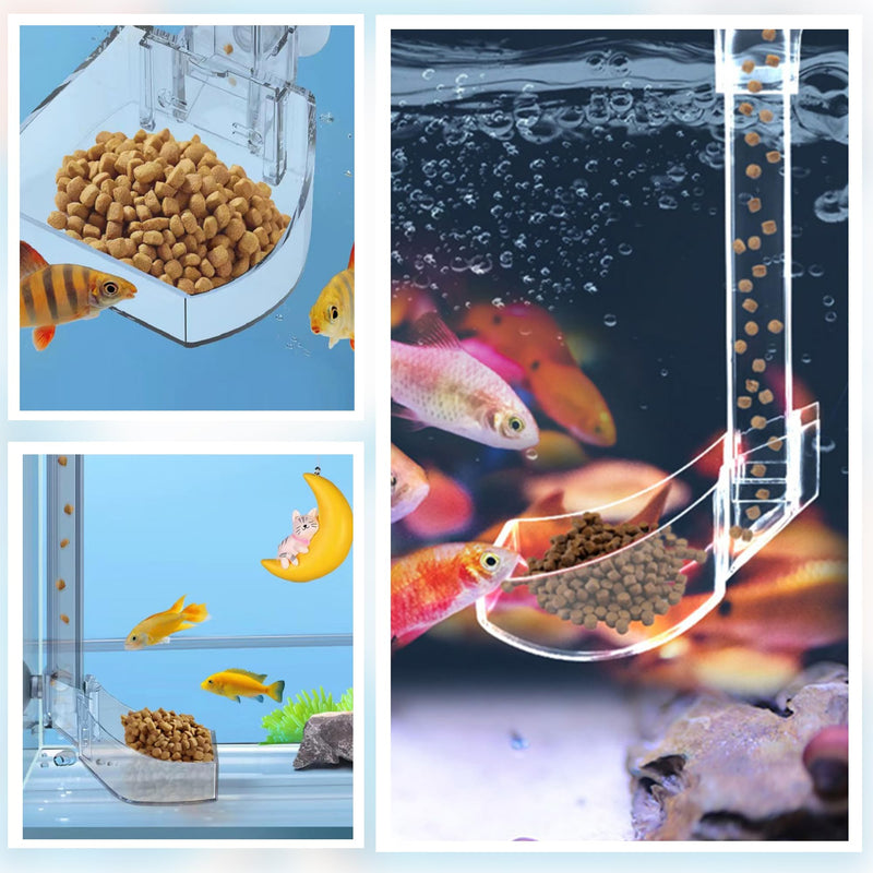 Aquarium Fish Shrimp Feeding Dish Set Clear Fish Feeder Tube and Dish with Cleaning Brush and Measuring Spoon for Feeding Shrimp and Preventing Food Scattering Feeding Supplies for Shrimp Large - PawsPlanet Australia