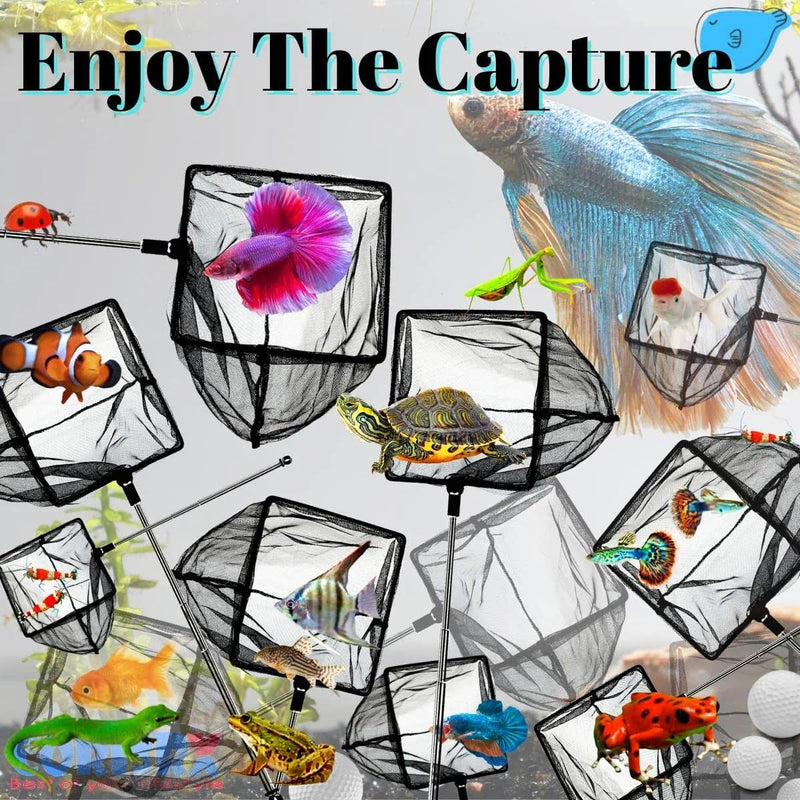 Aquarium Betta Fish Net Protect Delicate Fin, Soft Fine Deep Mesh Scooper w/Sturdy Extendable 7~14 Inch Stainless Steel Long Handle for Shrimp Fish Tank Small Pond & Pool 5 Inch aquarium net - PawsPlanet Australia