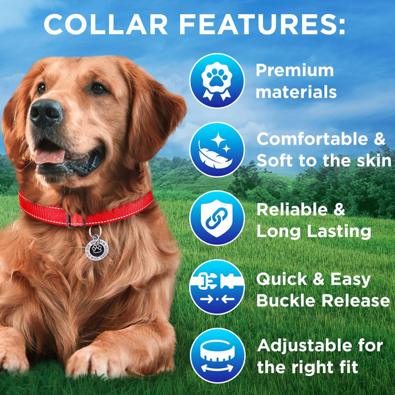 TECEUM Reflective Dog Collar – Red – L – Basic Nylon Pet Collar – Quick Release Buckle – Fits Small, Medium and Large Dogs, Puppies, Cats – ESA & Service Dog Options - PawsPlanet Australia