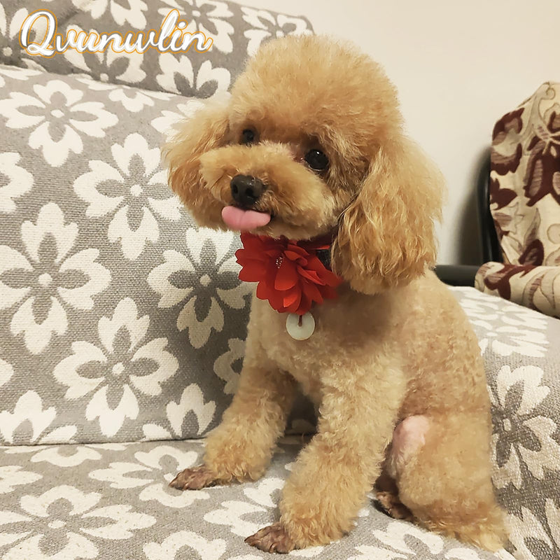 8pcs Flower Dog Collar Charms, Mulit Color Rhinestone Dog Collar Bow Ties for Puppy Cat Dog Grooming Accessories - PawsPlanet Australia