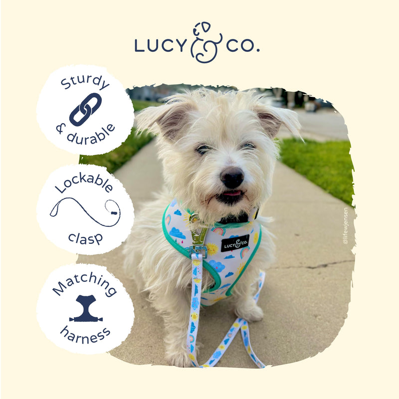 Lucy & Co. Designer Dog Leash - Pet Accessories - Thick Dog Leash - Padded Handle for Comfort - Ballet Bows - 5 Foot (White & Pink Bows, Small) Take a Bow Leash S - PawsPlanet Australia