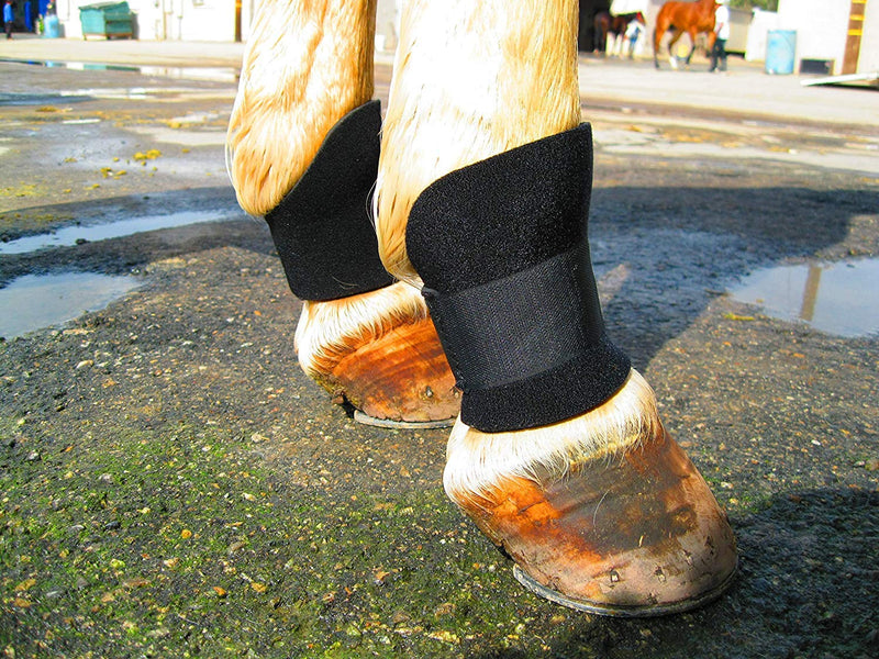 Bedsore Boots for Horses -Equine Leg Protection for Pressure Sores & Ulcers- Neoprene Stall Boots, Heal Wounds Faster, Easy On/Off, Washable & Air-Dry - PawsPlanet Australia