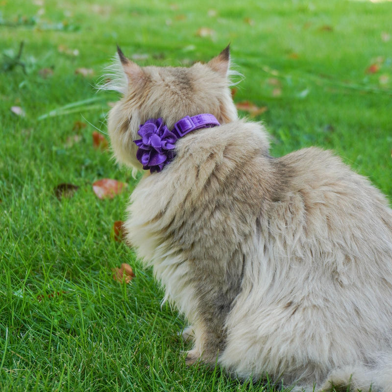 azuza 2 Pack Cat Collar Floral with Bell and Removable Flower Bowtie Breakaway Adjustable Velvet Fabric Cat Collar for Pets Holiday Party and Daily Decoration，Hot Pink & Purple Neck: 8"-12" B#Hot Pink & Purple