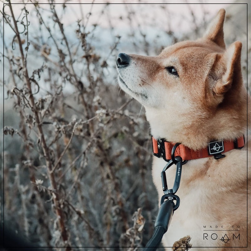 Made to ROAM Premium Everyday Leash - Ultra Soft Dog Leash with Aviation Aluminum Carabiner for Small, Medium, Large Dogs - Vermont Weekends, 4ft (Rubber Coated Metal Clamps) 4 Feet, Rubber Coated Metal Clamps - PawsPlanet Australia